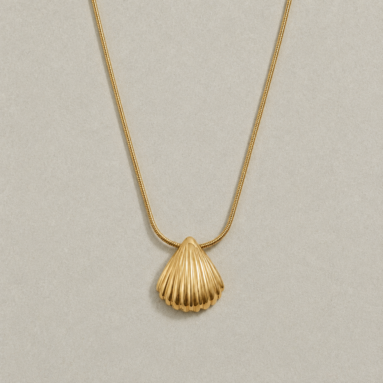 Seashell